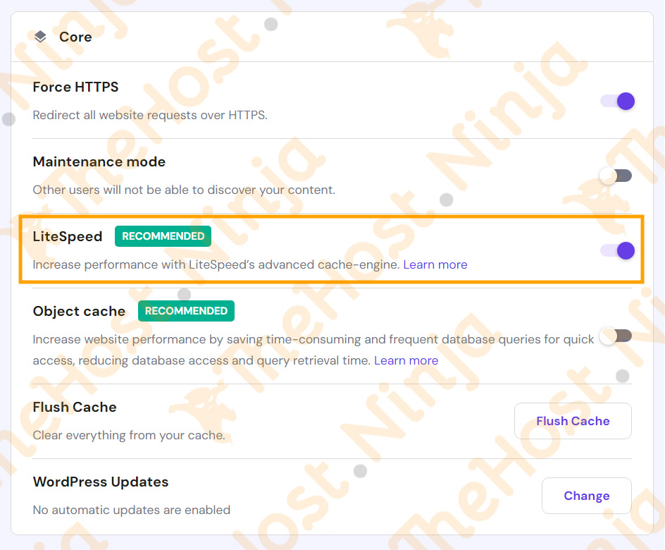 مراجعة خدمة LiteSpeed من استضافة هوستنجر من موقع المراجعات ذاهوست.نينجا